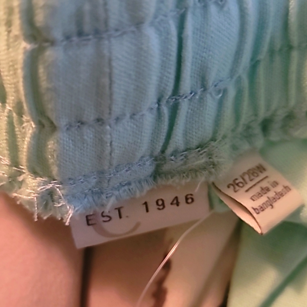 Mint green pants